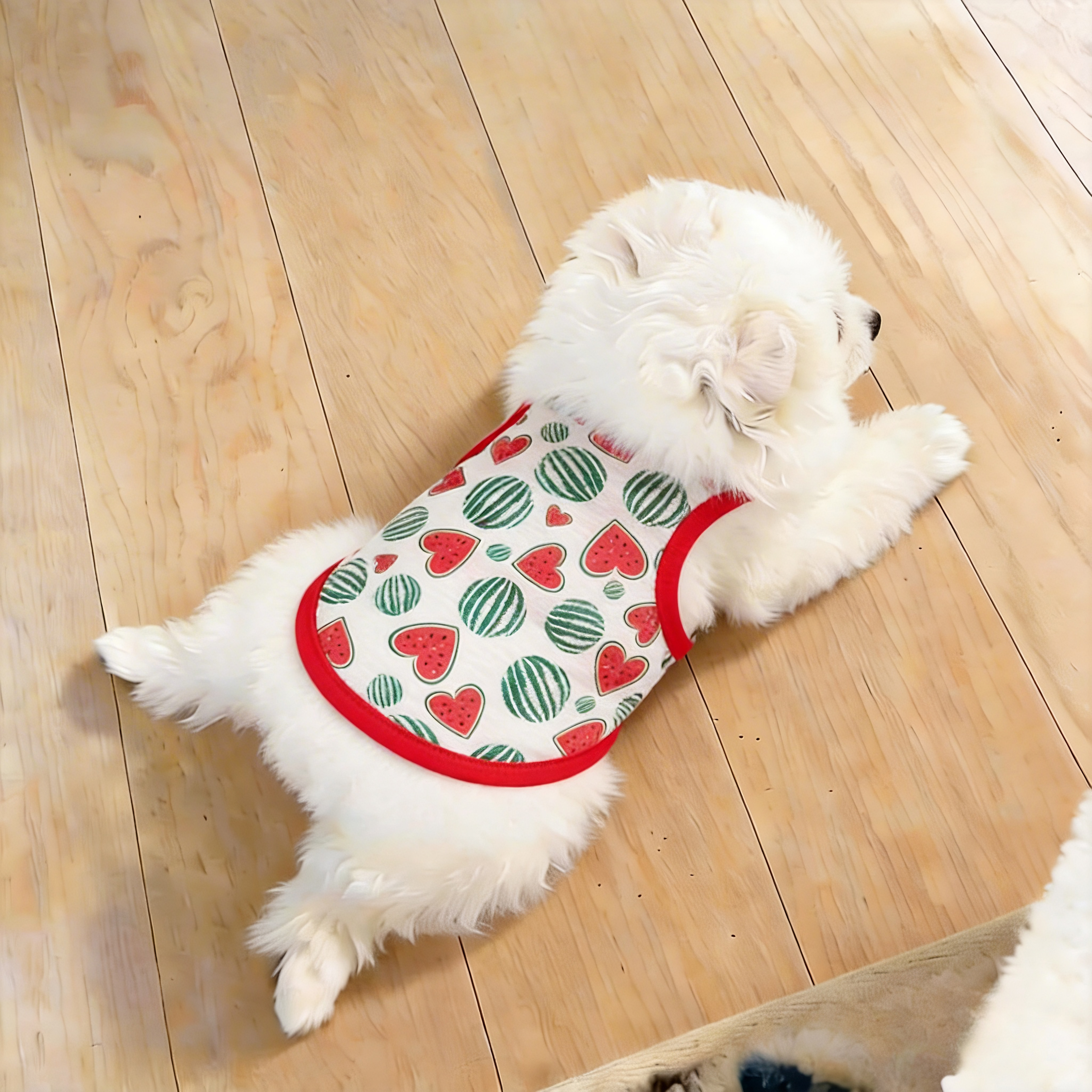 狗狗衣服夏季透气背心清凉防晒衣