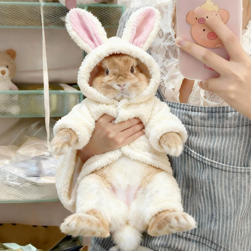 Удерживающая тепло милая бархатная демисезонная толстовка с капюшоном