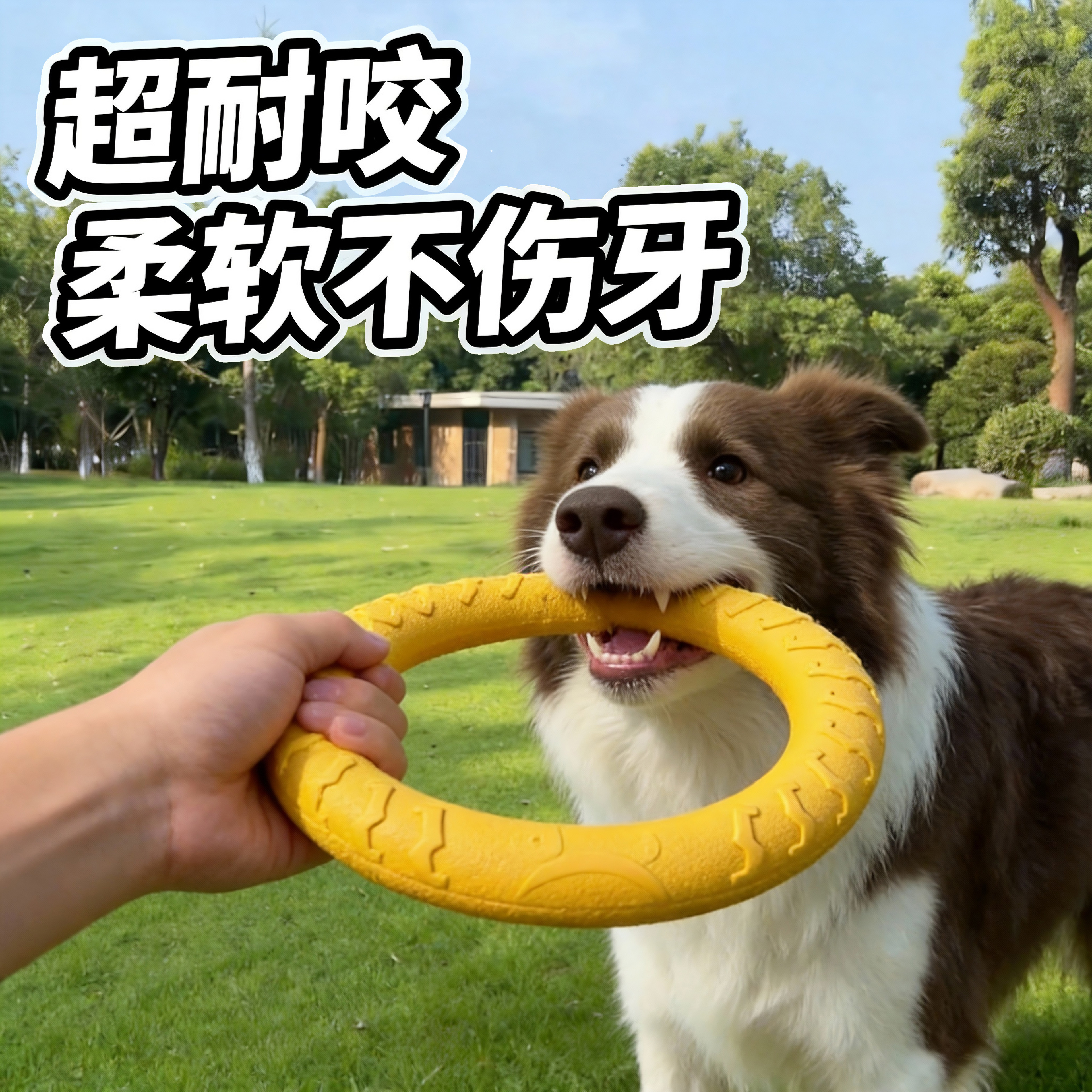 狗狗玩具拉力圆环磨牙耐咬飞盘