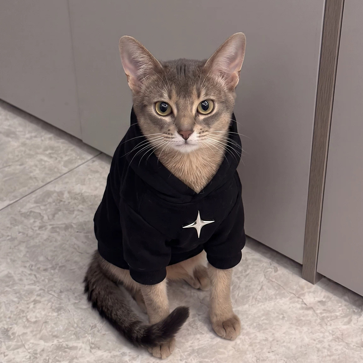 猫咪衣服加厚保暖帅气卫衣防掉毛