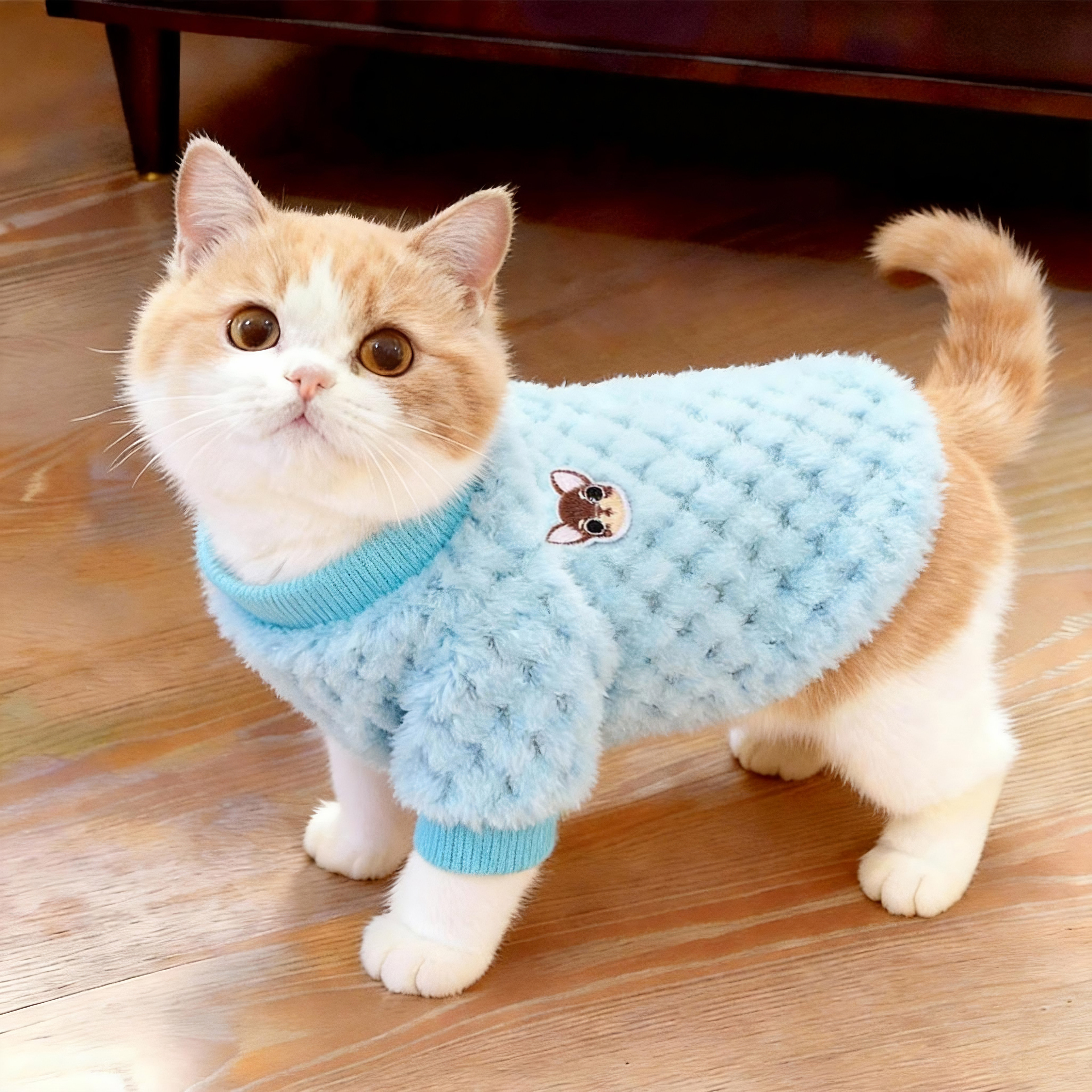 猫咪衣服冬季加绒加厚保暖毛绒小狗卫衣英短金渐层布偶狗狗两脚衣,宠物/宠物食品及用品,猫宠物服装/雨衣（新）,淘宝优惠券,粉丝福利购,淘宝优惠卷