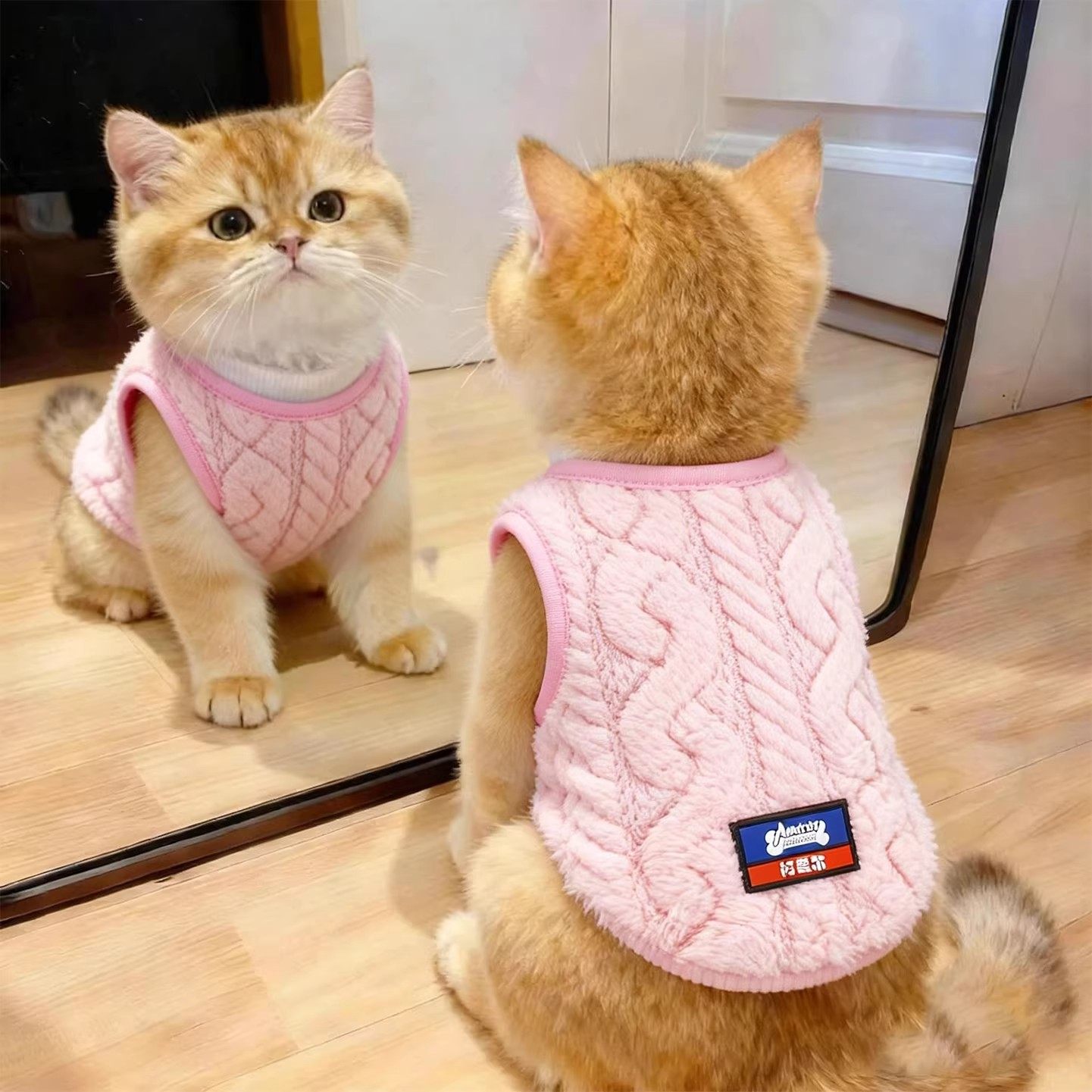 猫咪衣服加厚保暖麻花背心休闲针织套头不束缚马甲秋冬款狗狗毛衣