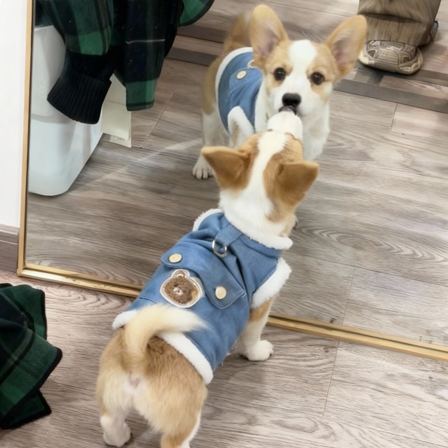 狗狗衣服秋冬季加绒加厚保暖马甲
