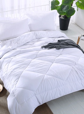 兰羽辰冬季酒店宾馆白色双人1.8m被芯学生宿舍单人1.5m春秋款被褥
