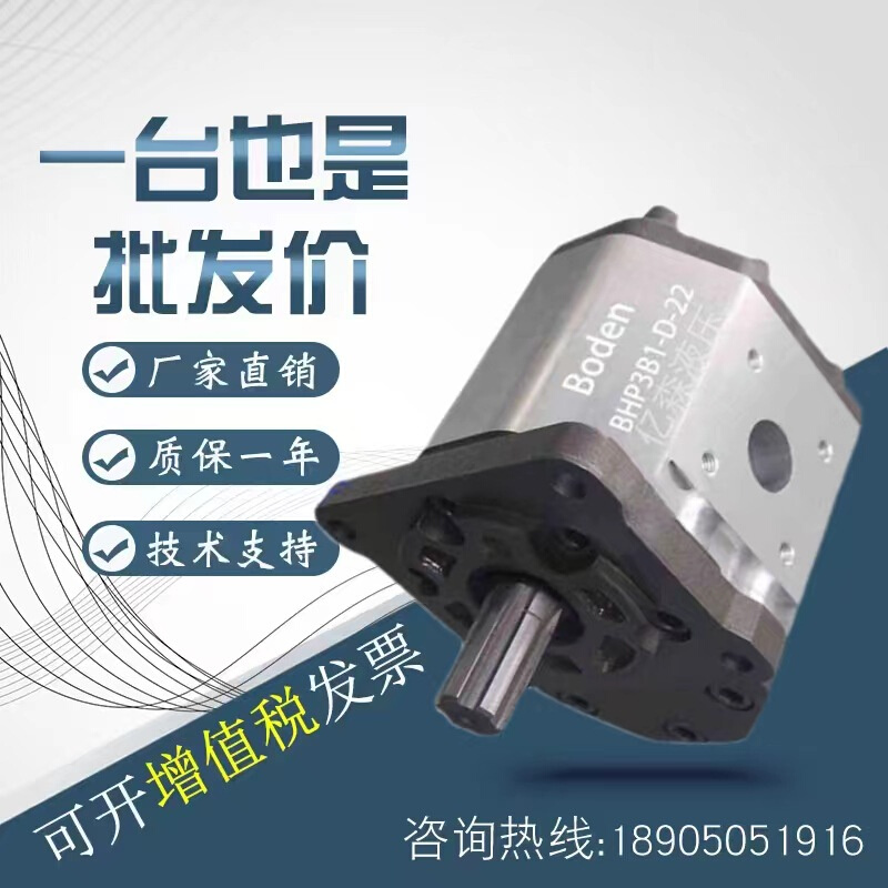 博顿Boden齿轮泵BHP2B0/2B1/2B2/2A0/2Q1/2Q2-D-3油泵BHP2A0-D-3