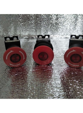 AR30V0L AR30VOL-11E3R 急停按钮AR30VOR AR30V2R AR22V2R-11R