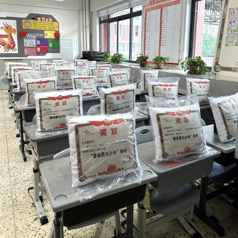 奖状抱枕空调被可定制儿童节礼物奖励学生母亲节礼物父亲节厂家图片