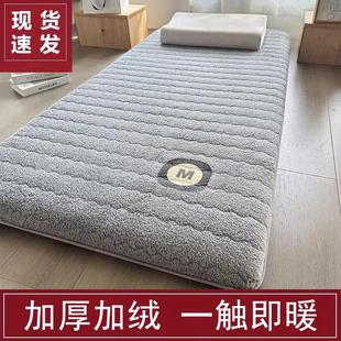 冬天地上睡觉专用垫打地铺隔寒防潮垫加厚床垫直接铺地上榻榻厂家