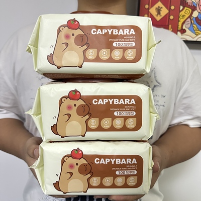 湿巾纸婴儿手口屁专用100抽