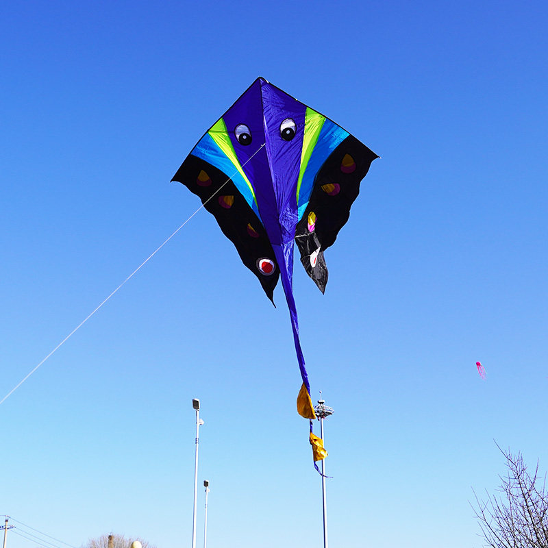 三晋开元大鲽鱼风筝大型成人高档好飞抗大风微风易飞潍坊儿童卡通