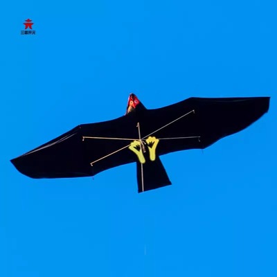 三晋开元板鹰风筝老鹰风筝伞布碳素杆大人专用2-6级风微风抗大风