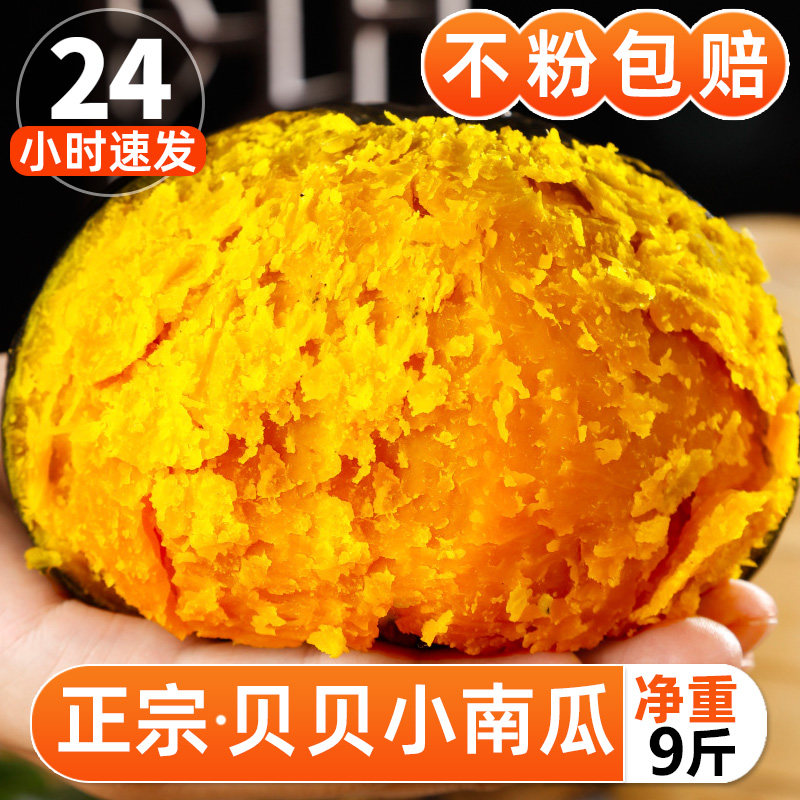 正宗贝贝南瓜5斤新鲜粉糯板栗味小南瓜栗面山东老瓜婴儿辅食包邮