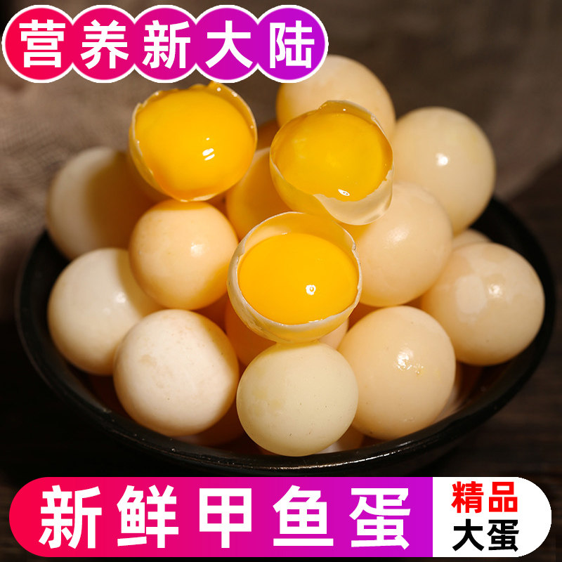 【精品大蛋】新鲜食用甲鱼蛋原生态水鳖土鳖团水鱼王八蛋宝宝辅食