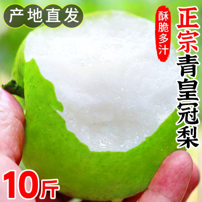 皇冠梨青梨9斤河北梨子当季现摘
