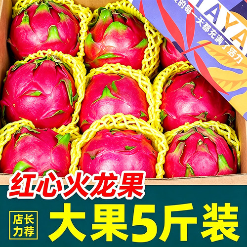 金都一号！严选大果！红心火龙果