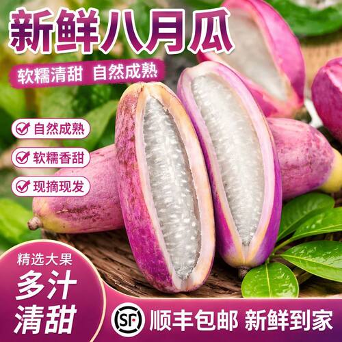 【稀罕水果】疯抢！新鲜八月瓜！