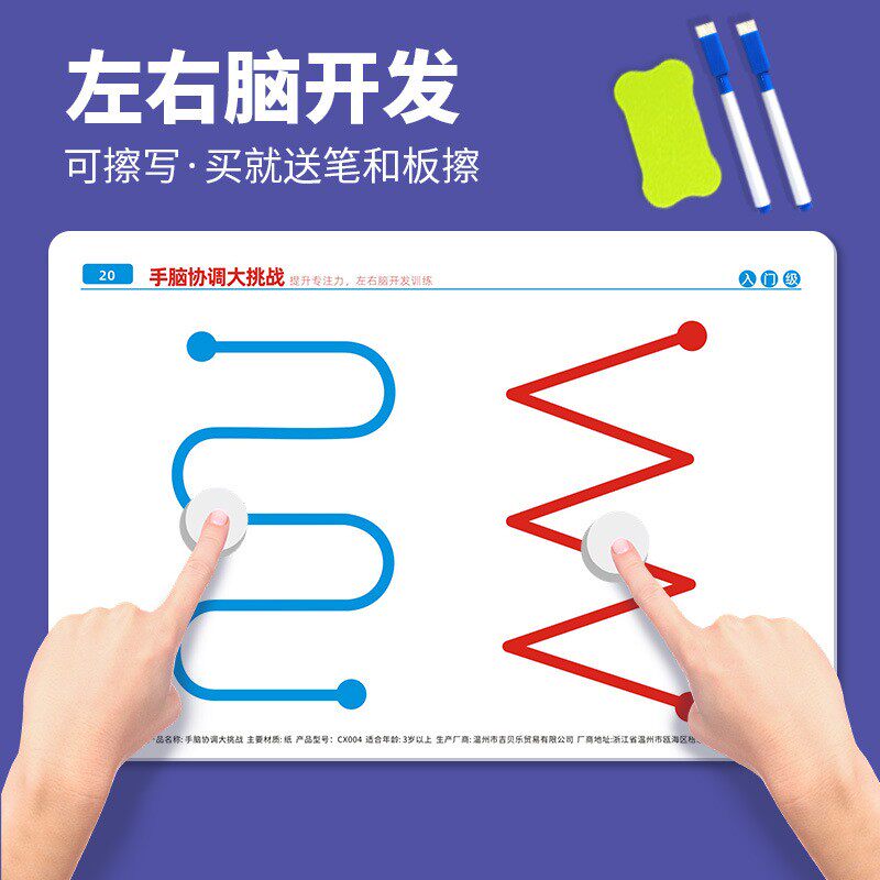 左右脑开发玩具儿童全脑思维训练专注力精细动作锻炼教具手眼协调