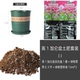 左家花园 配套花盆营养土肥料家庭阳台室内盆栽 园艺种植盆土套装