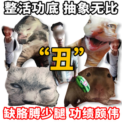 来图定制丑猫抱枕无白边