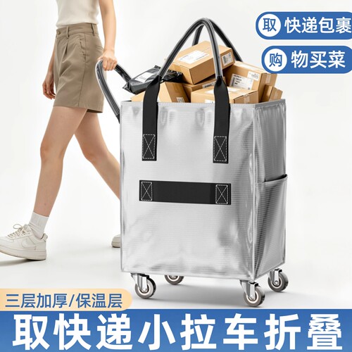 取快递买菜小推车可折叠袋子神器