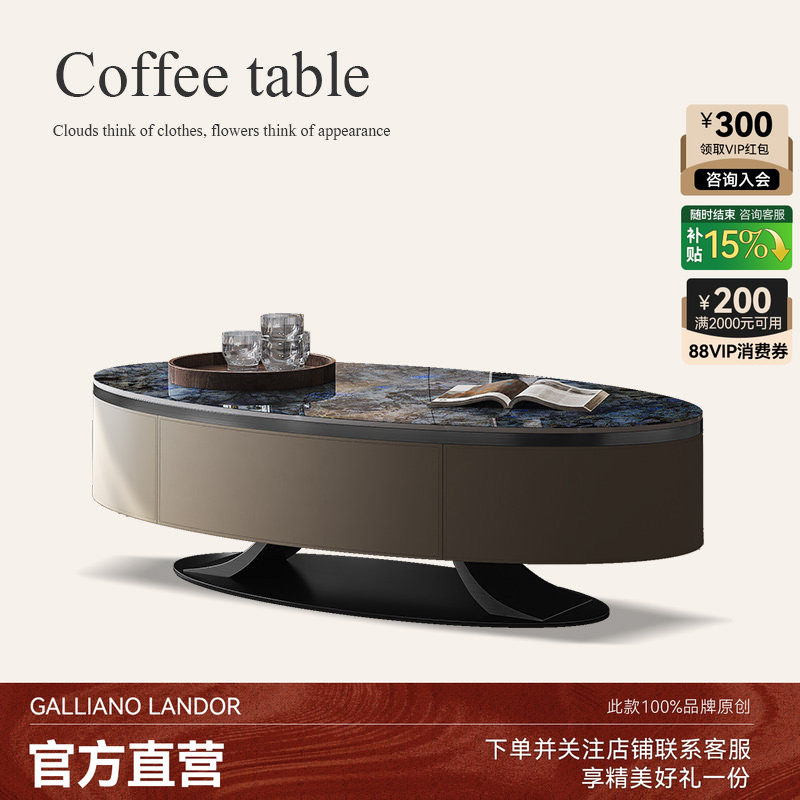 诚骏椭圆形茶几轻奢现代高级感不锈钢客厅家用岩板茶几电视柜组合