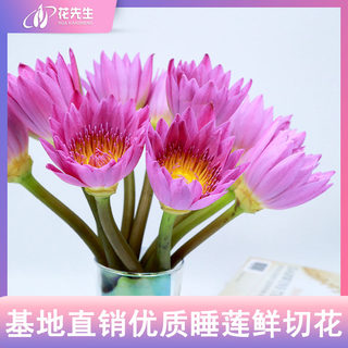 睡莲鲜花室内水养雏菊百合花荷花向日葵花束供佛云南直发同城速递