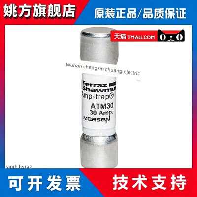 美尔森MERSEN熔断器ATM12/15/20/25/30 12A 15A 20A 25A 30A 600V