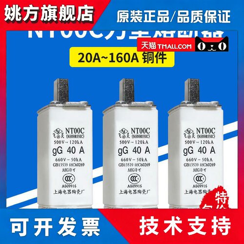 NT00C陶瓷熔断器R030C熔芯保险管丝Gg40A50A63A80A100A125A160A