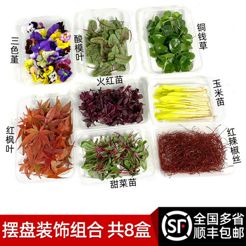 8种摆盘装饰套餐 三色堇酸模叶火红苗玉米苗甜菜苗铜钱草顺丰包邮