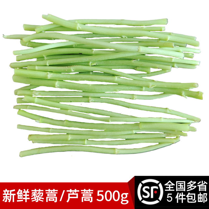 新鲜藜蒿500g 芦蒿蒌蒿去根去叶农家自种泥蒿当季新鲜蔬菜野菜