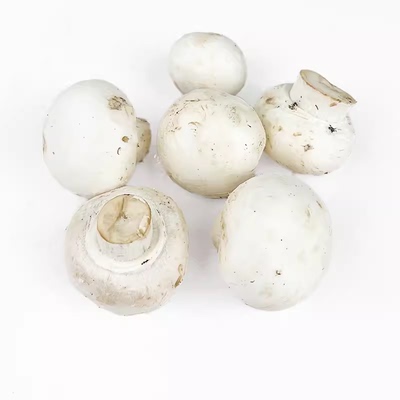 1斤口蘑口菇5件包邮新鲜蘑菇