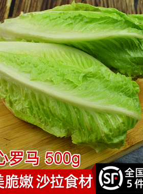 绿食者 包心罗马生菜500g 新鲜罗马罗纹凯撒生菜 西餐沙拉食材