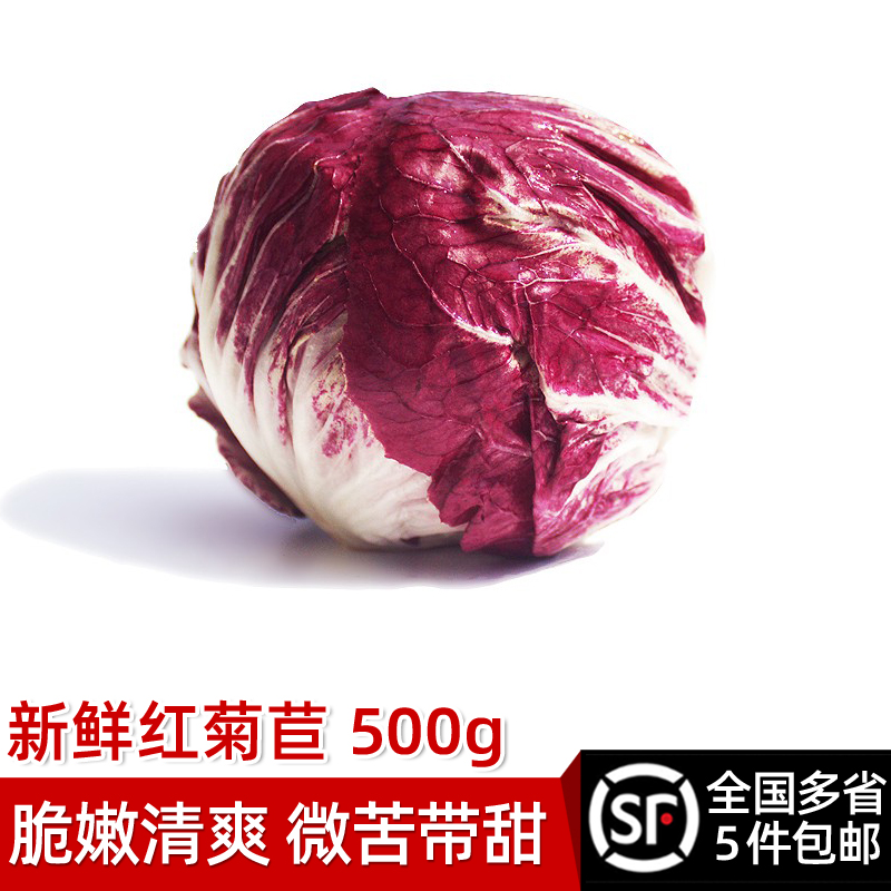 新鲜红菊苣500g落地红沙拉食材