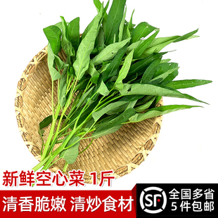 新鲜空心菜500g竹叶空心菜农家藤藤菜蕹菜蓊菜通心菜无心菜空筒菜