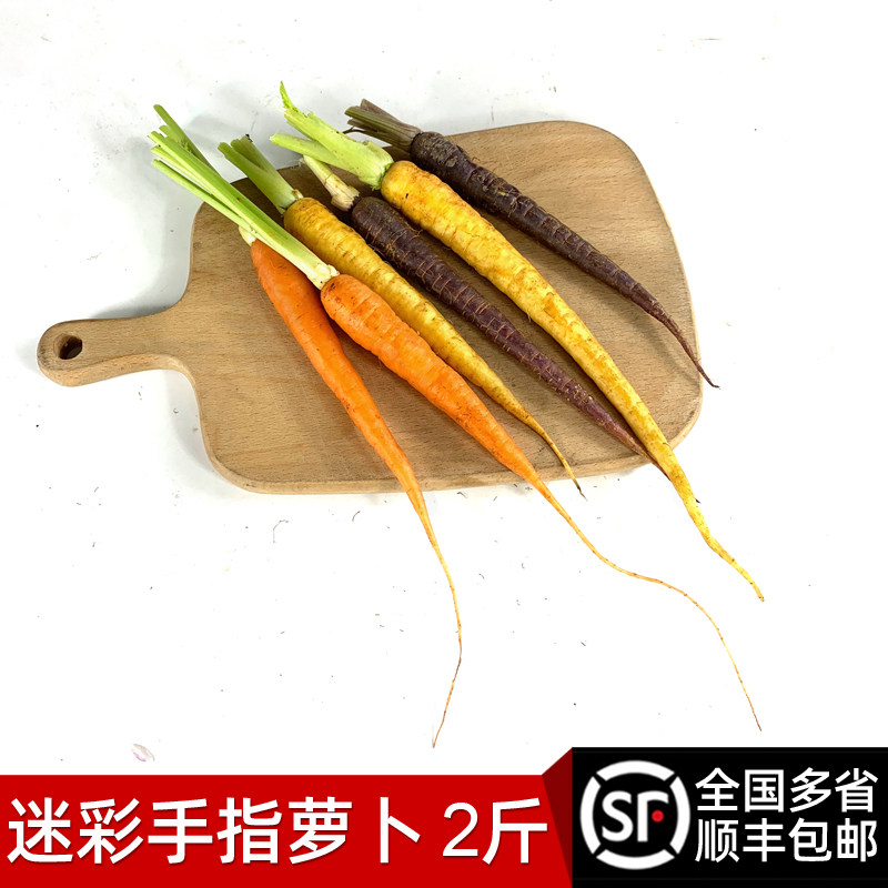 去叶迷彩手指萝卜2斤 彩色迷你小胡萝卜 西餐蔬菜沙拉菜 多省包邮
