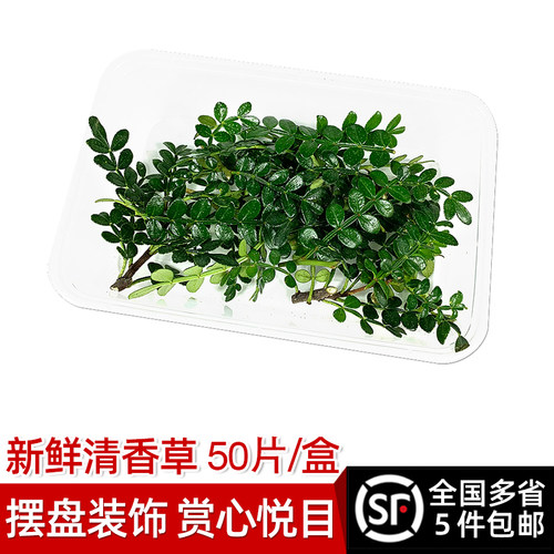 新鲜清香草1盒酒店5件烘焙日料