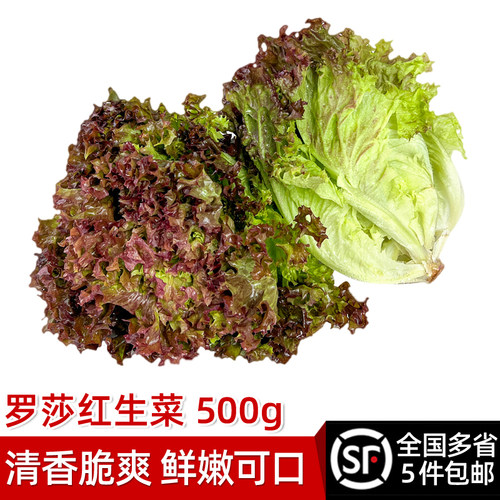绿食者红叶生菜500g红西餐食材