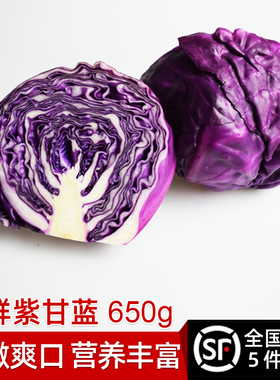 绿食者 紫甘蓝650g 紫包菜球紫色红椰菜西餐蔬菜生菜轻食沙拉食材