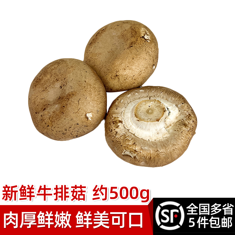 新鲜牛排菇约500g菌菇波多黎各