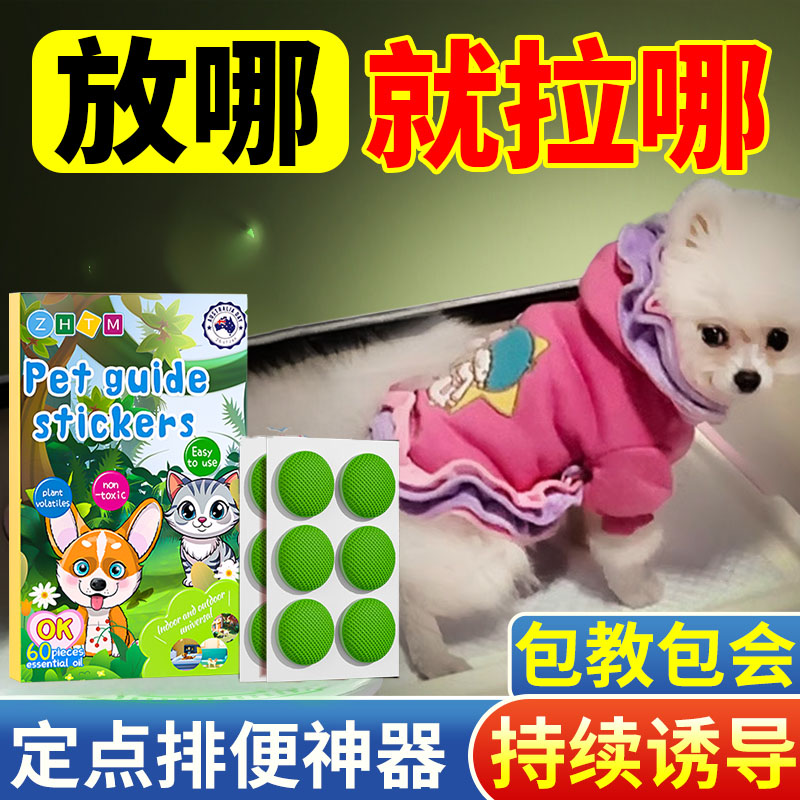 狗狗定点排便训练贴狗大小便上厕所神器宠物幼犬防乱拉屎尿诱导剂