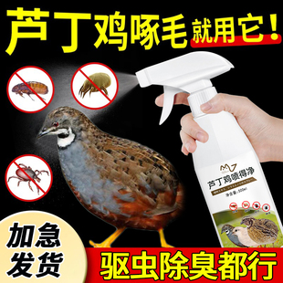 芦丁鸡驱虫喷雾防脱毛啄毛鸡用净驱虱子螨虫鹦鹉清洁除臭鸟类用品