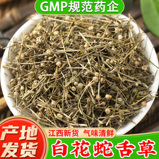 正宗野生白花蛇舌草中药材官方旗舰店正品 新货百花蛇草中草药材