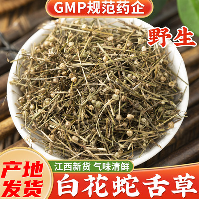 【江西野生白花蛇舌草】药厂直销