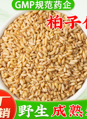 野生柏子仁中药材官方旗舰店正品 生柏籽仁柏子仁茶