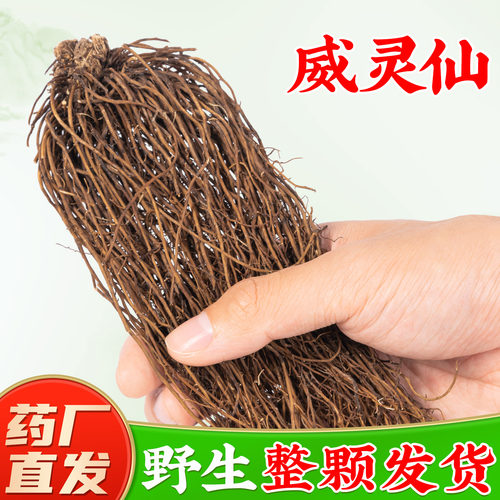 【野生威灵仙中药材】药厂直销