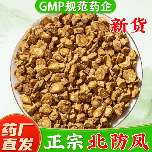 正宗北防风野生内蒙药厂直销