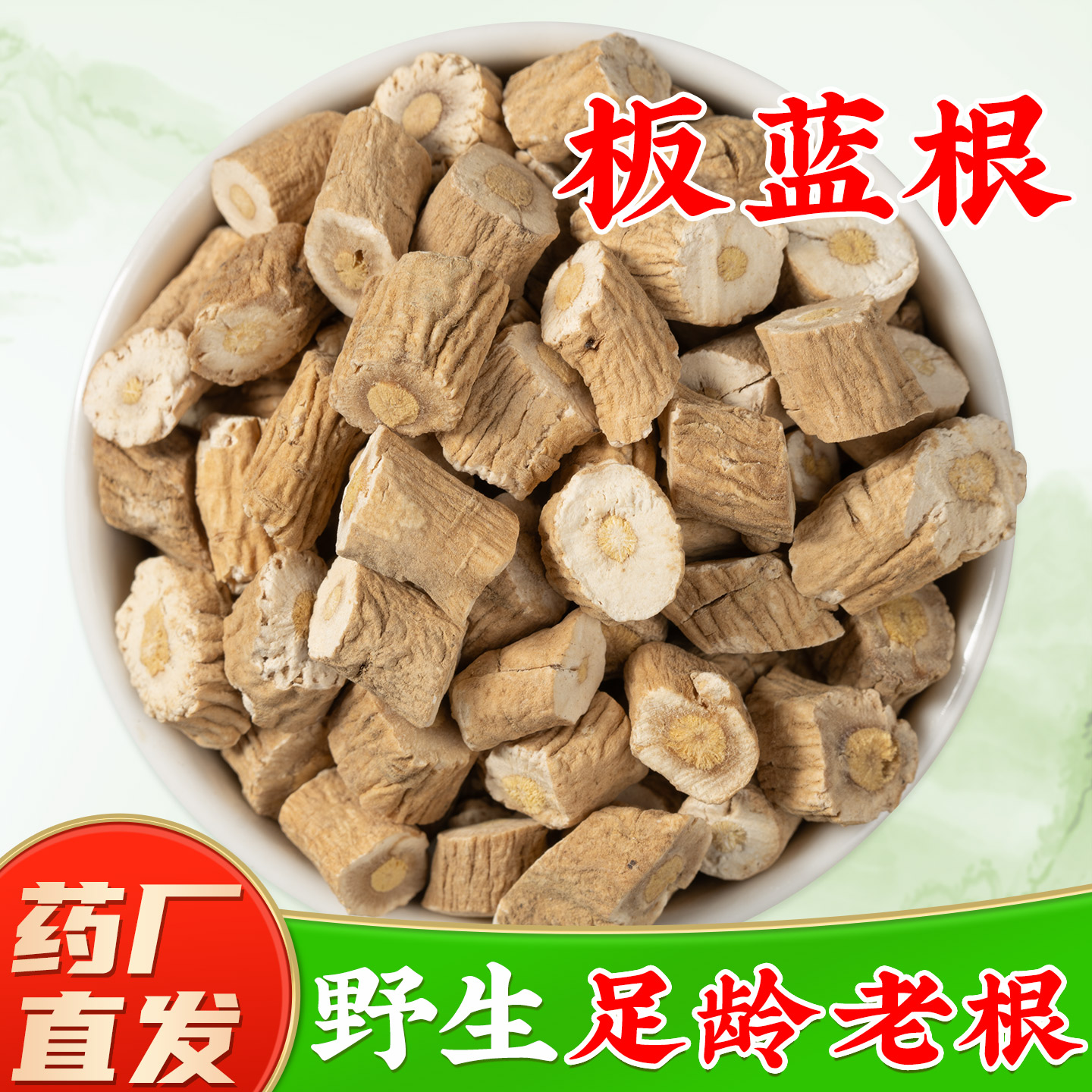 【野生板蓝根中药材】药厂直销图片