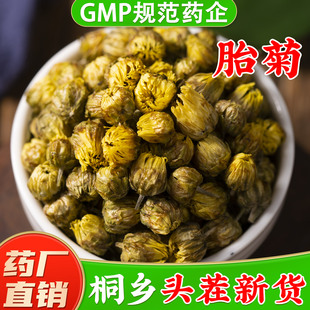 胎菊花中药材官方旗舰店正品 新货桐乡胎菊晒杭白菊菊花茶泡水喝