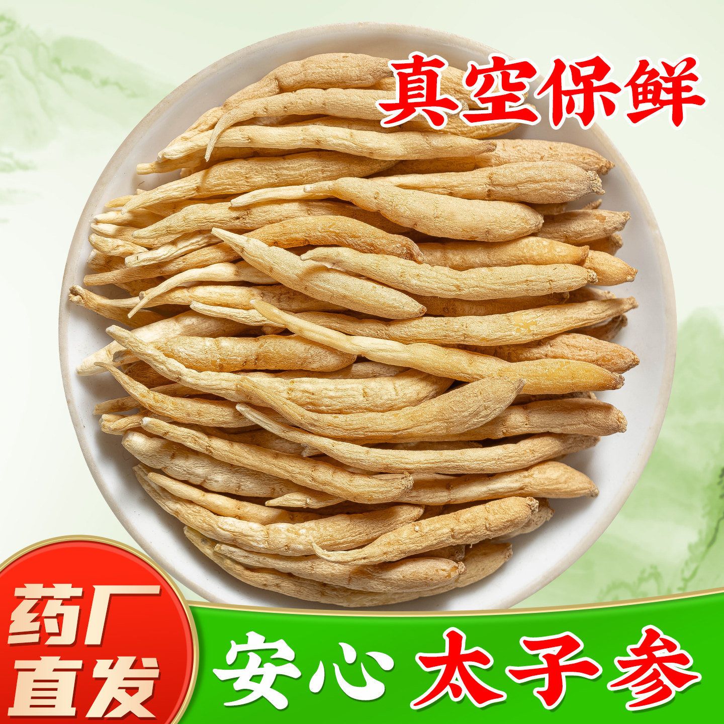 贵州野生太子参中药材图片