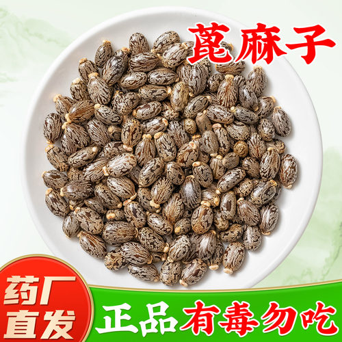 【野生蓖麻子中药材】药厂直销